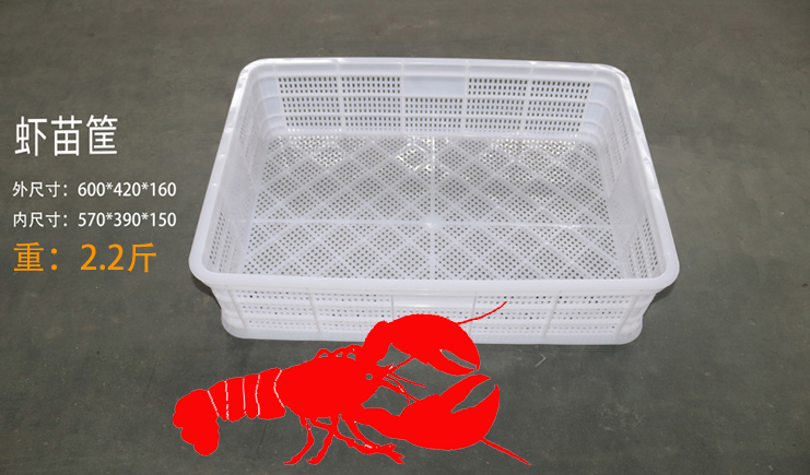 蝦苗存活率低？蝦苗筐聽完想打人