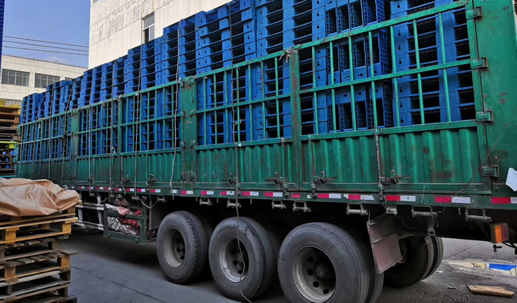 直擊!塑料托盤廠家的最新影像!