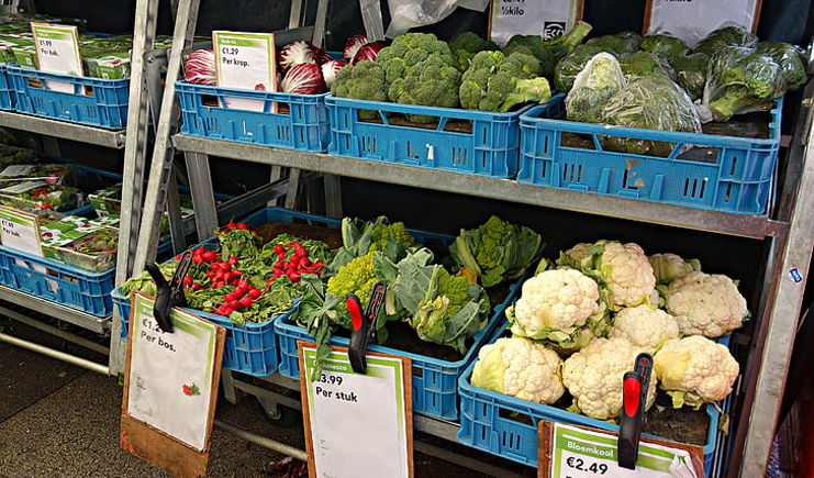 水果塑料周轉(zhuǎn)箱筐批發(fā),快到筐里來(lái)!