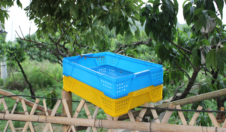 塑料周轉(zhuǎn)箱的顏色,實(shí)話實(shí)說(shuō),到底有多重要?